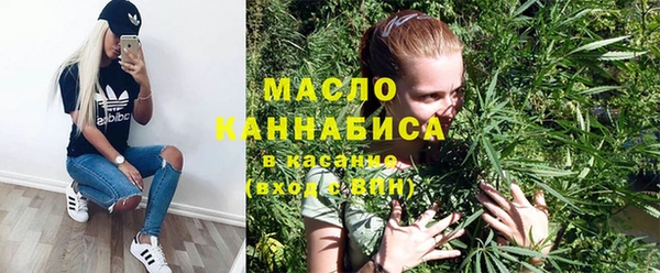 гидра Абаза