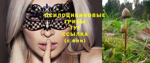 ГАЛЛЮЦИНОГЕННЫЕ ГРИБЫ Абдулино