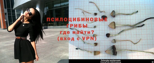 ALPHA-PVP Алзамай