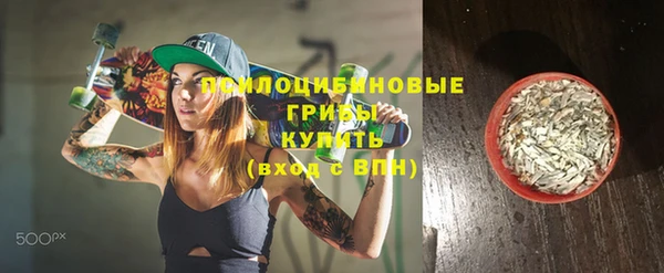 крисы Абинск
